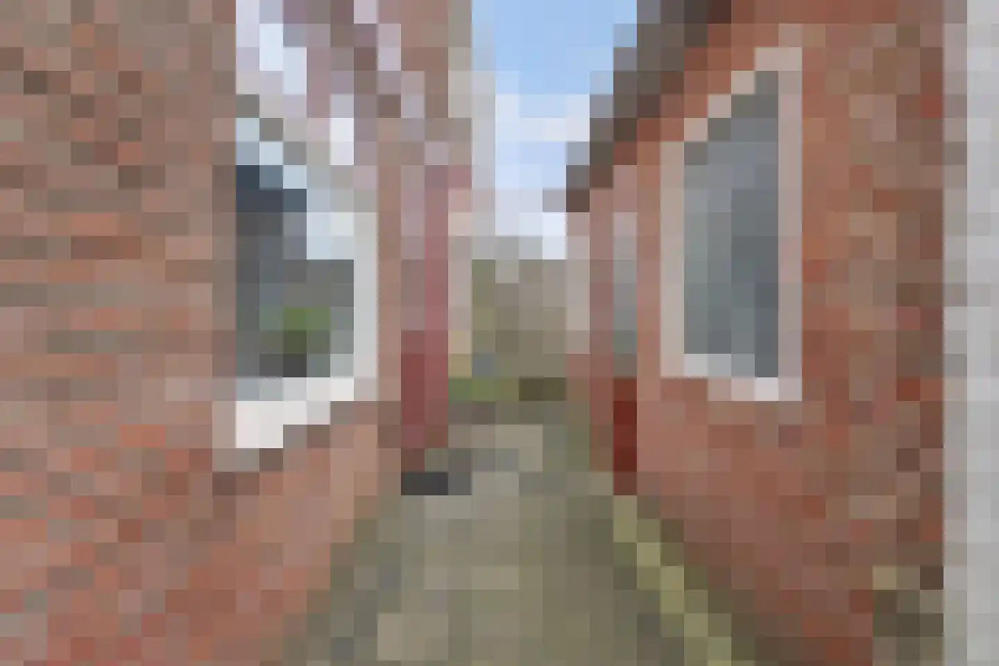 Hogestraat 107 Tiel thumbnail 24