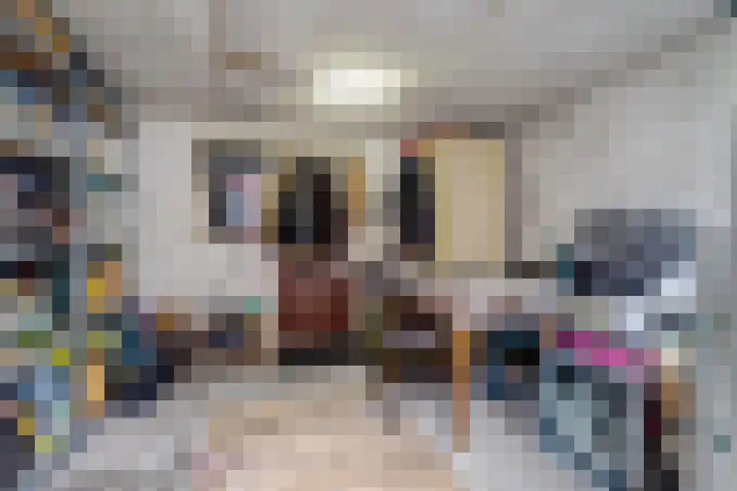 Hogestraat 107 Tiel thumbnail 26