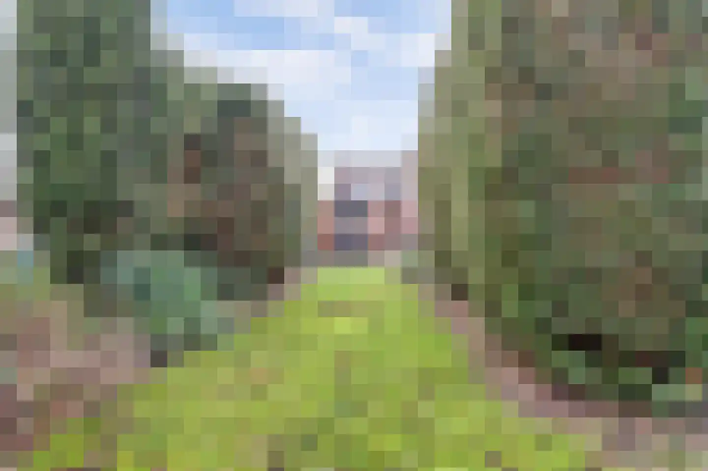 Hogestraat 107 Tiel thumbnail 30
