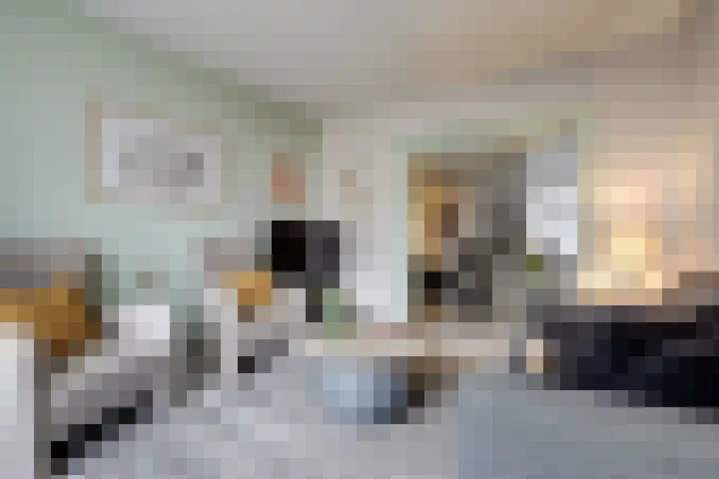 Hogestraat 107 Tiel thumbnail 5