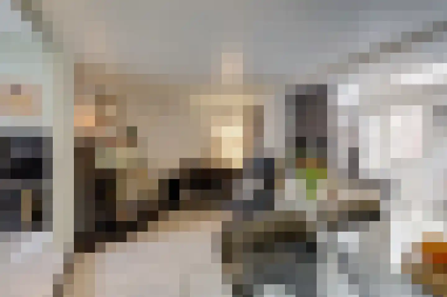 Hogestraat 107 Tiel thumbnail 9