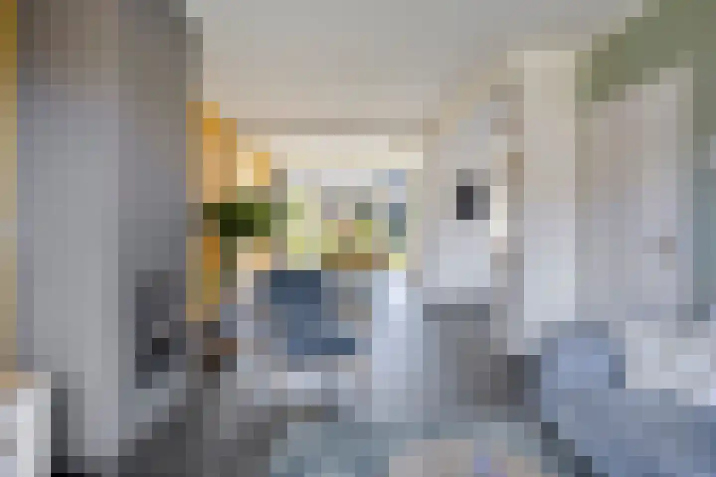 Hogestraat 108 Aalten thumbnail 7