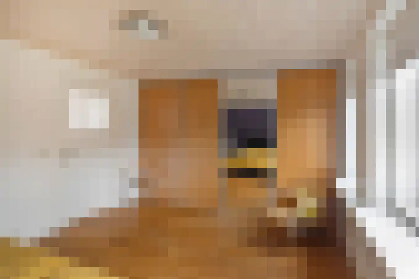 Hogestraat 109 Aalten thumbnail 27