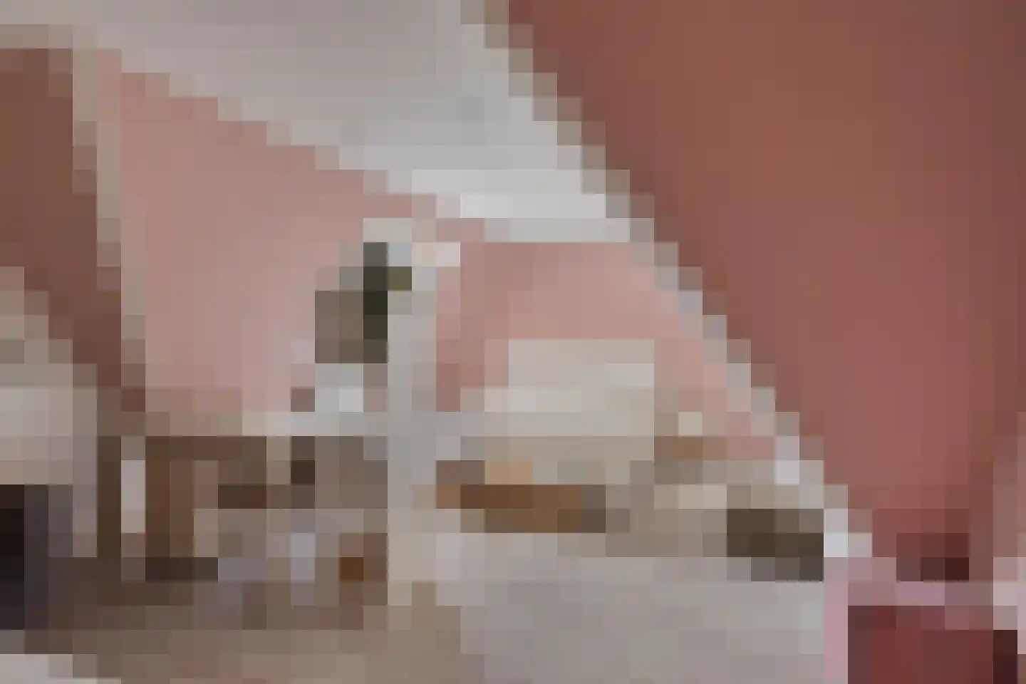 Hogestraat 109 Aalten thumbnail 32
