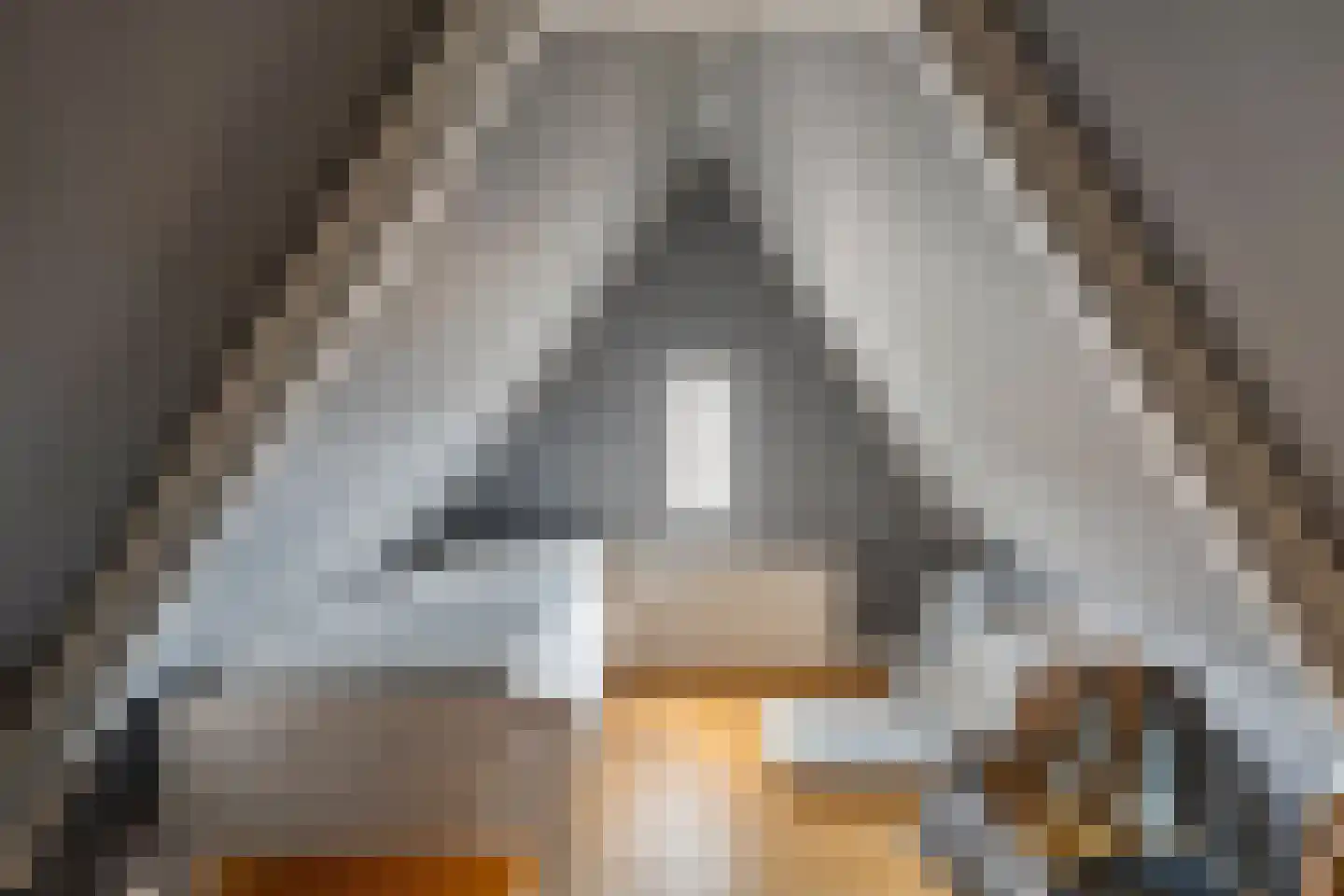 Hogestraat 109 Aalten thumbnail 38