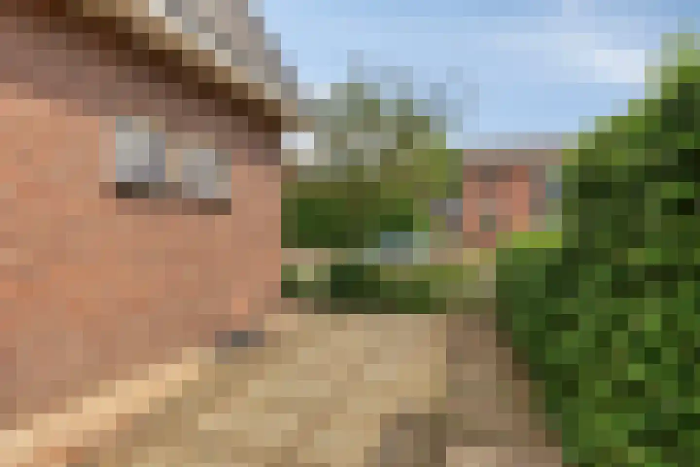Hogestraat 109 Aalten thumbnail 46