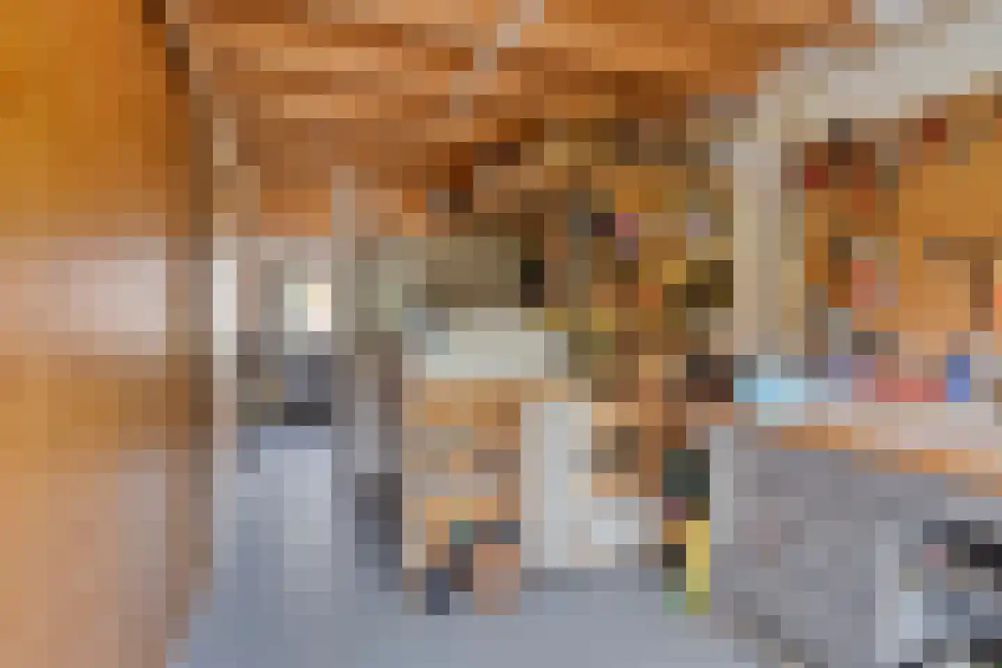 Hogestraat 109 Aalten thumbnail 48