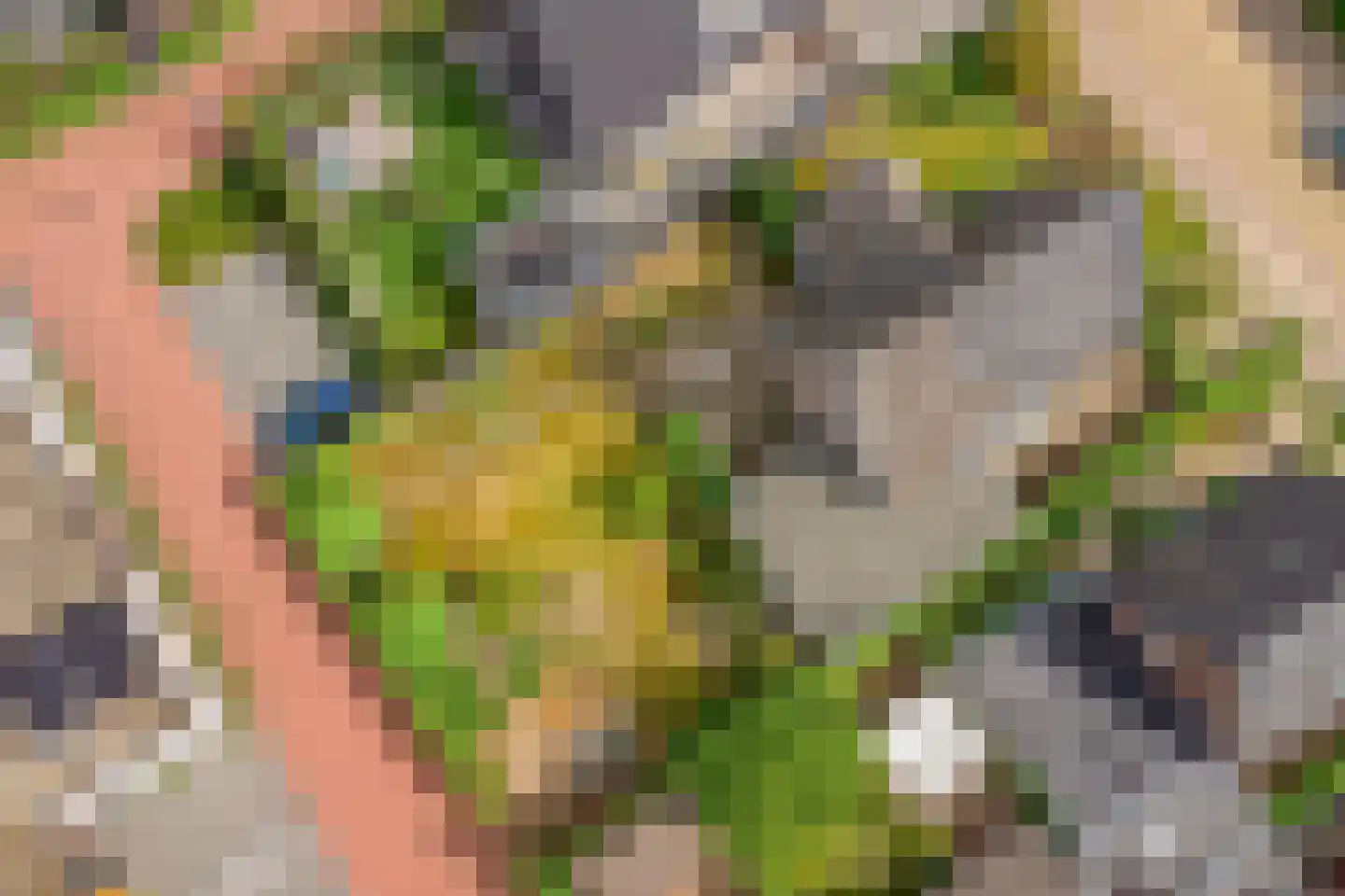 Hogestraat 109 Aalten thumbnail 52