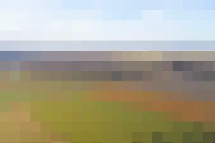 Hogestraat 112 Aalten thumbnail 37