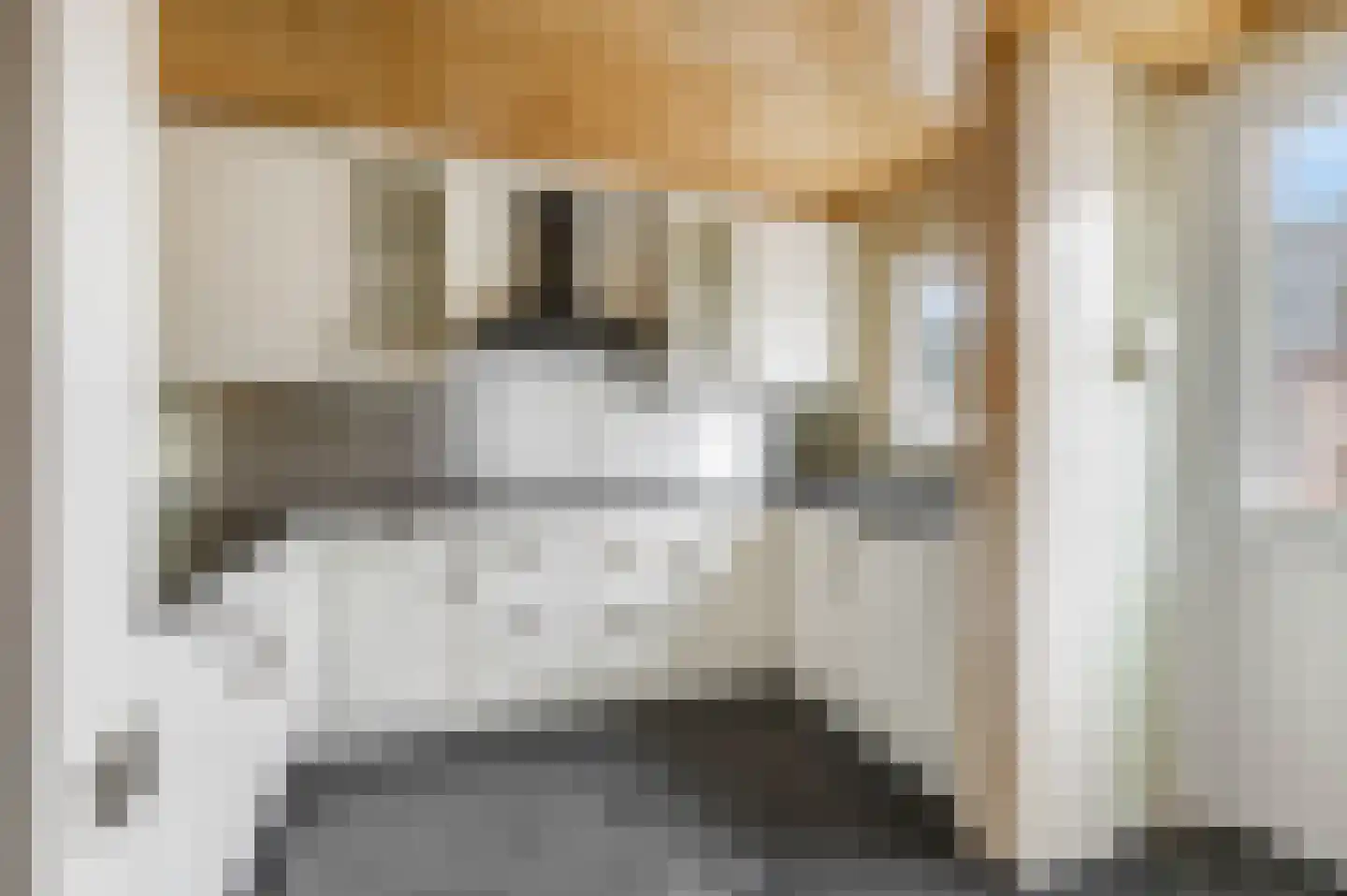 Hogestraat 17 Tiel thumbnail 13