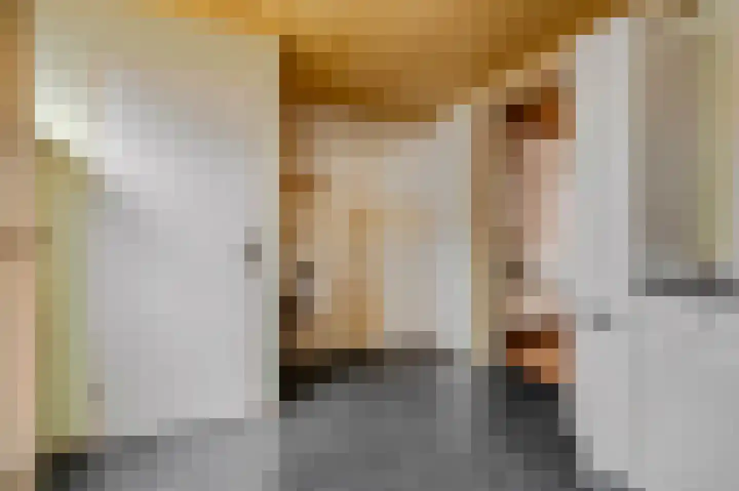 Hogestraat 17 Tiel thumbnail 14