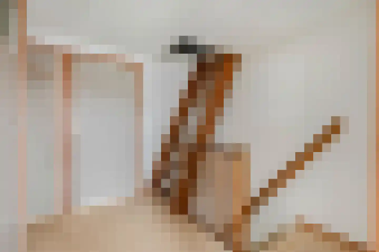 Hogestraat 17 Tiel thumbnail 33