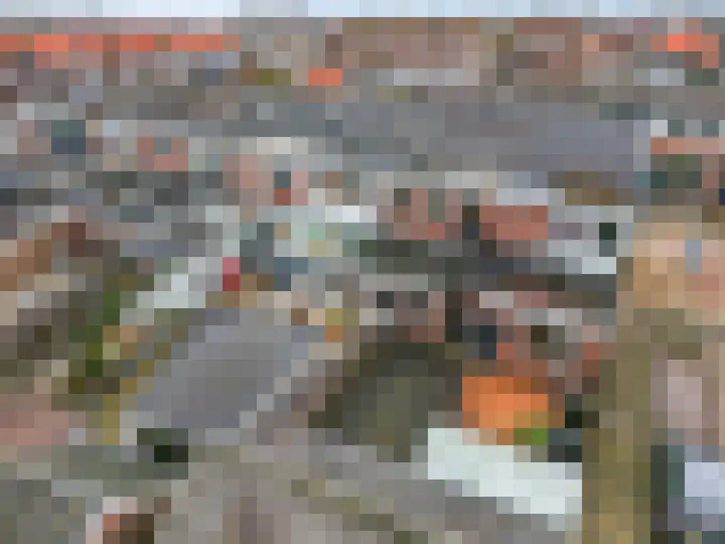 Hogestraat 17 Tiel thumbnail 39