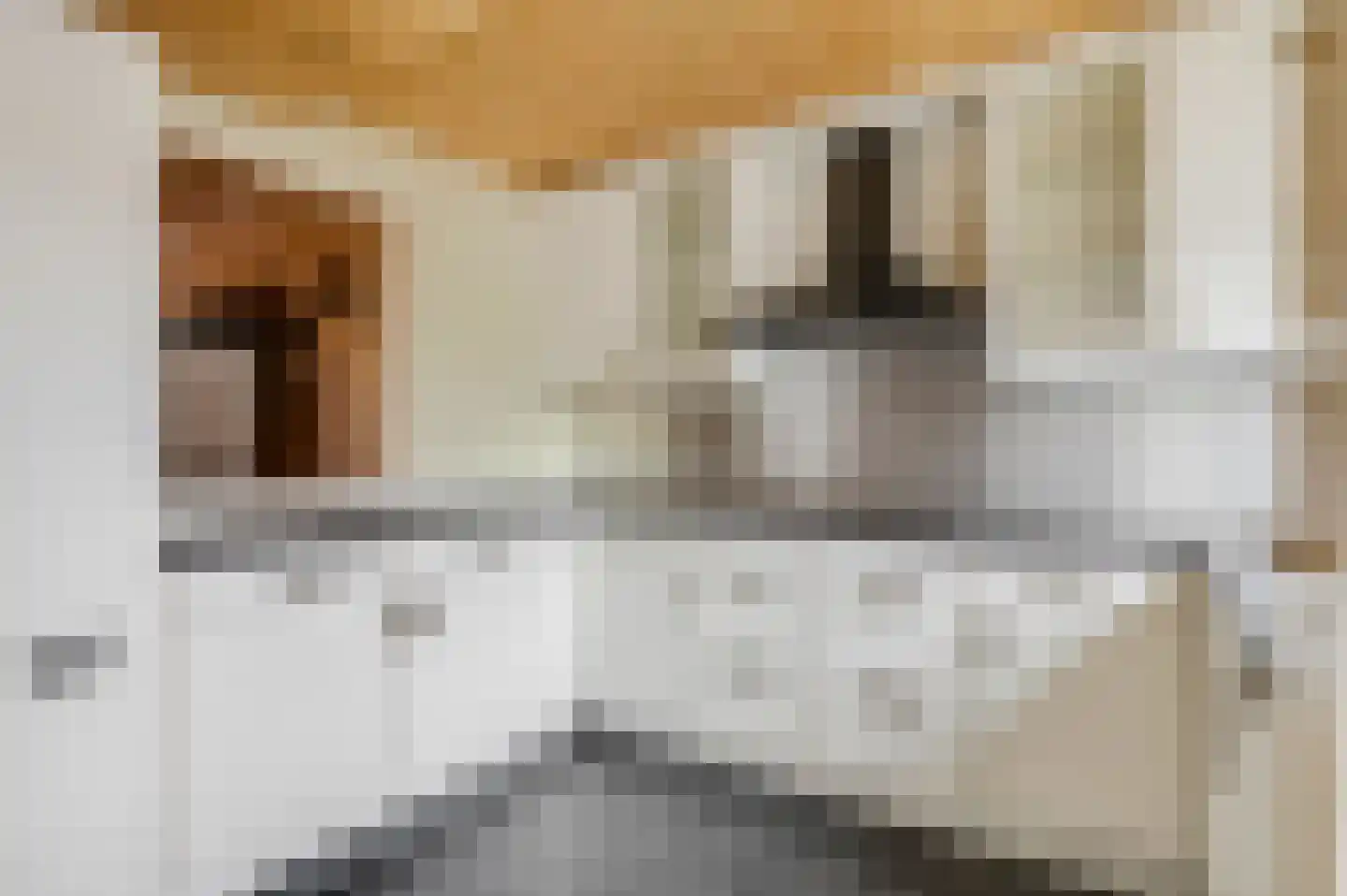 Hogestraat 17 Tiel thumbnail 4