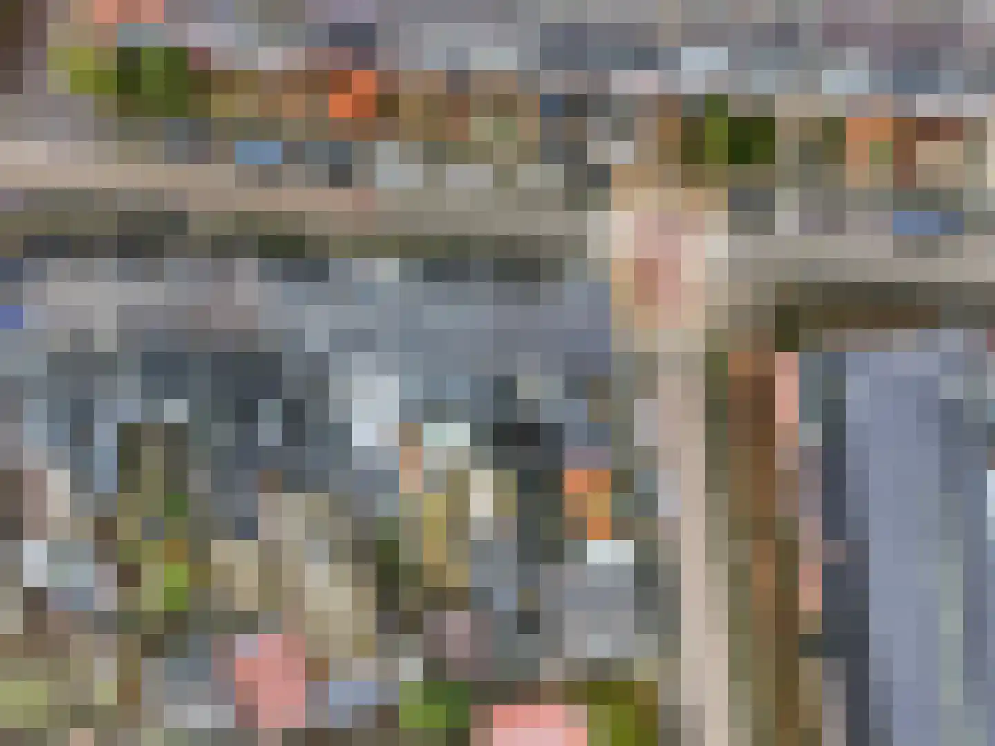 Hogestraat 17 Tiel thumbnail 42