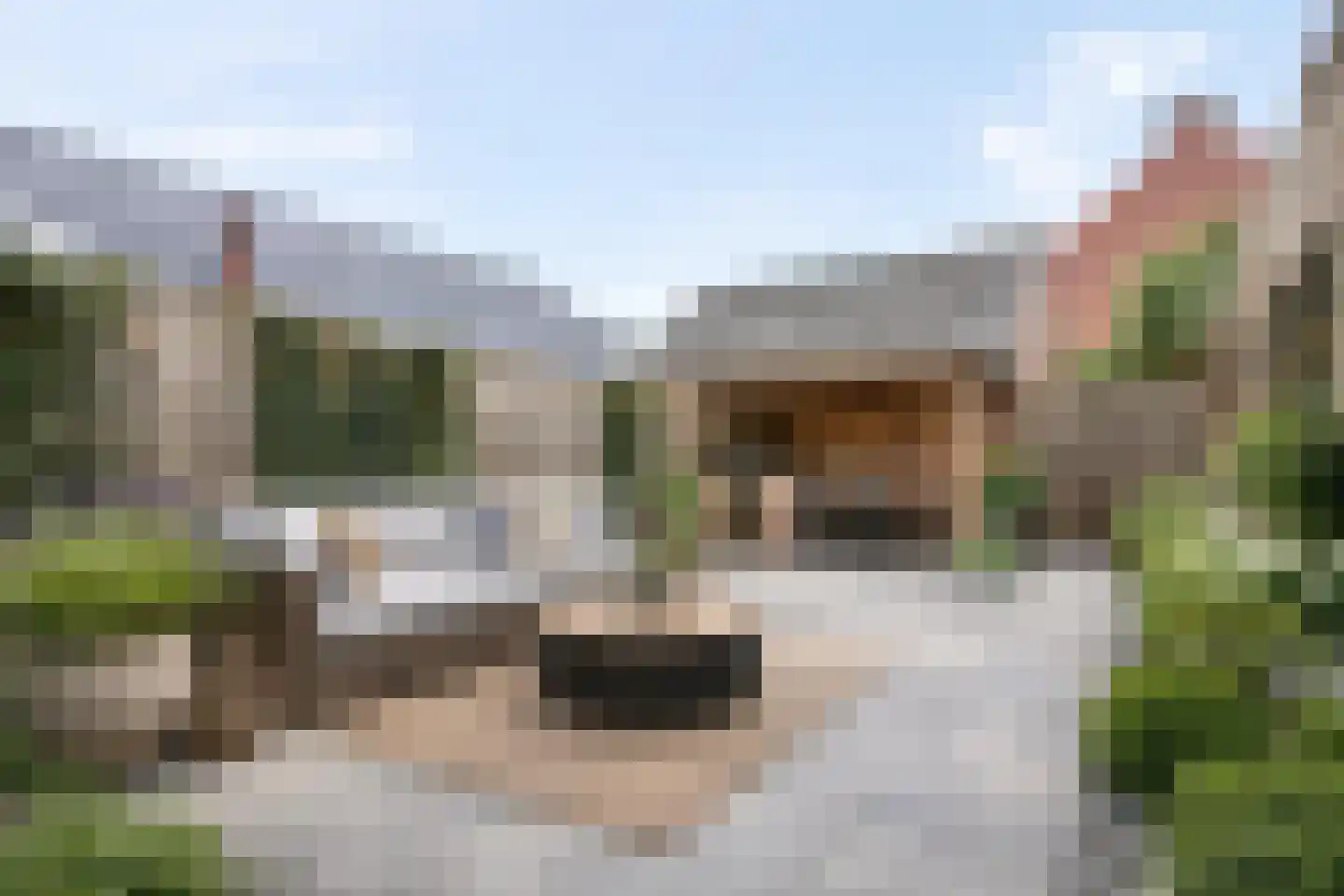 Hogestraat 17 Tiel thumbnail 6