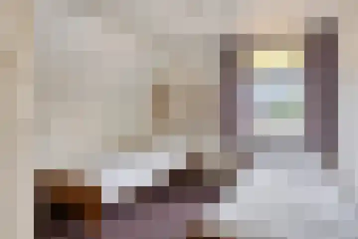 Hogestraat 2 Rijsbergen thumbnail 26