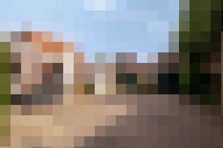 Hogestraat 2 Rijsbergen thumbnail 29