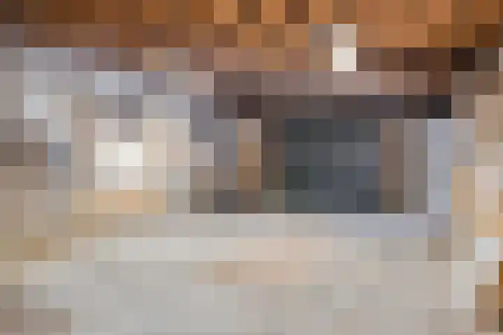 Hogestraat 2 Rijsbergen thumbnail 31