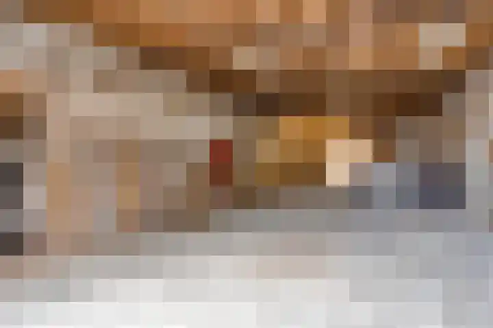 Hogestraat 2 Rijsbergen thumbnail 32