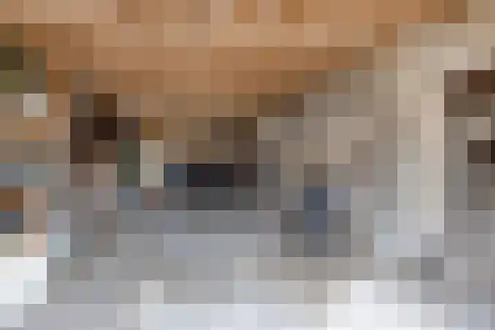 Hogestraat 2 Rijsbergen thumbnail 34