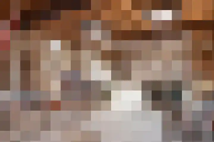 Hogestraat 2 Rijsbergen thumbnail 35