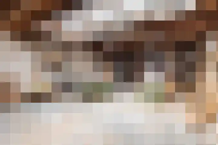 Hogestraat 2 Rijsbergen thumbnail 36