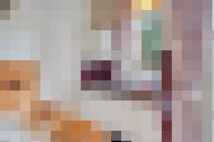 Hogestraat 2 Rijsbergen thumbnail 4