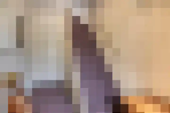 Hogestraat 2 Rijsbergen thumbnail 8