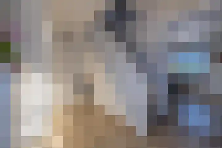 Hogestraat 2 Zoelen thumbnail 24