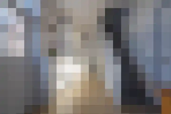Hogestraat 2 Zoelen thumbnail 44