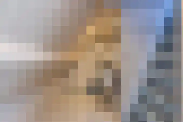 Hogestraat 2 Zoelen thumbnail 56