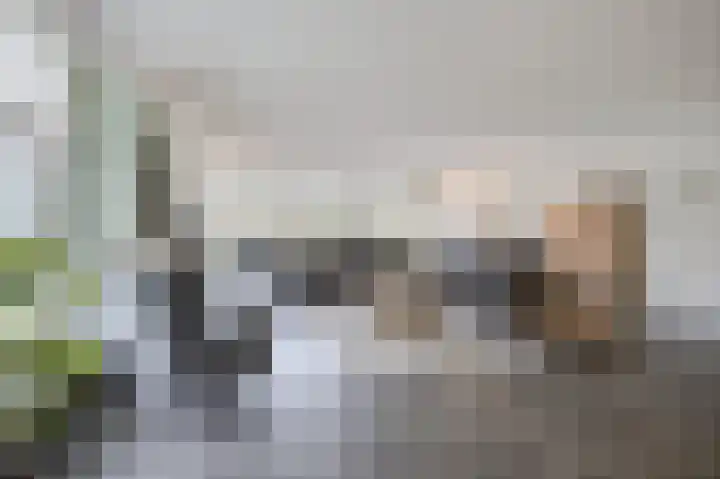 Hogestraat 3 Bosschenhoofd thumbnail 13