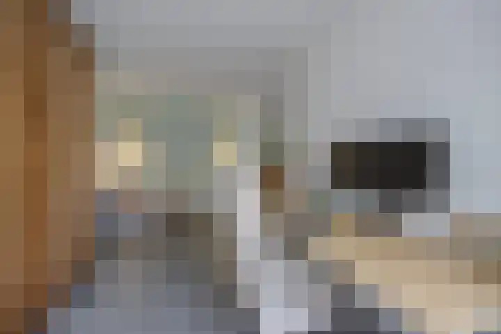 Hogestraat 3 Bosschenhoofd thumbnail 16