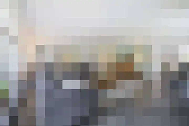 Hogestraat 3 Bosschenhoofd thumbnail 17