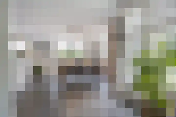 Hogestraat 3 Bosschenhoofd thumbnail 19
