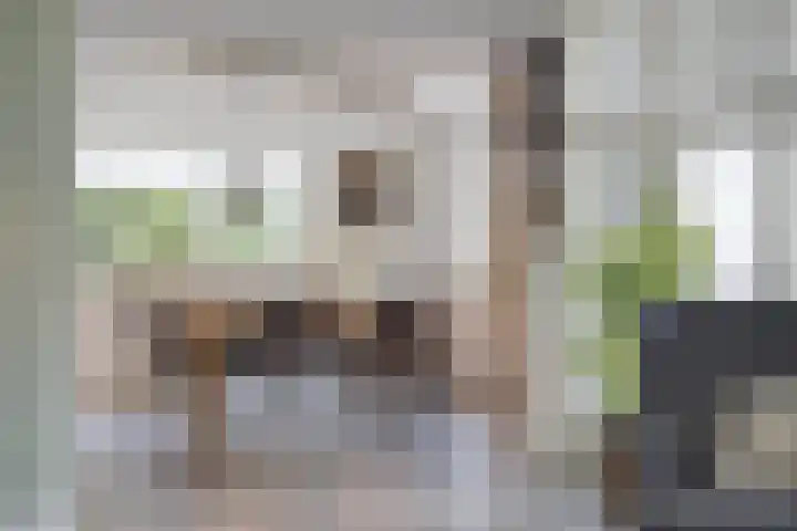Hogestraat 3 Bosschenhoofd thumbnail 20
