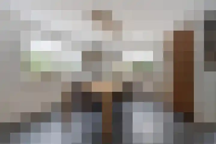 Hogestraat 3 Bosschenhoofd thumbnail 21