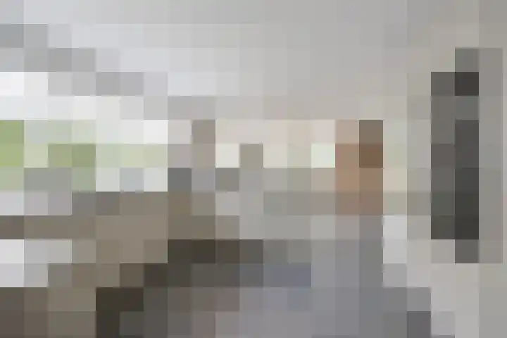 Hogestraat 3 Bosschenhoofd thumbnail 22