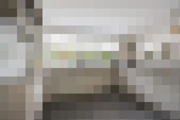 Hogestraat 3 Bosschenhoofd thumbnail 23