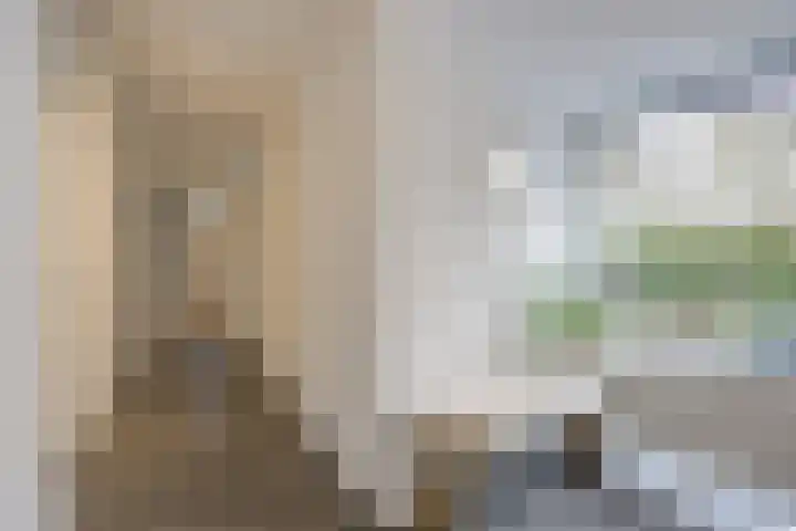 Hogestraat 3 Bosschenhoofd thumbnail 27