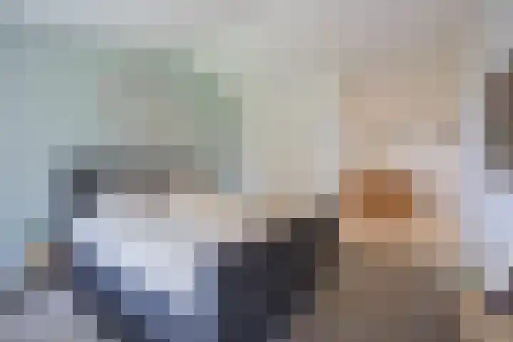 Hogestraat 3 Bosschenhoofd thumbnail 30
