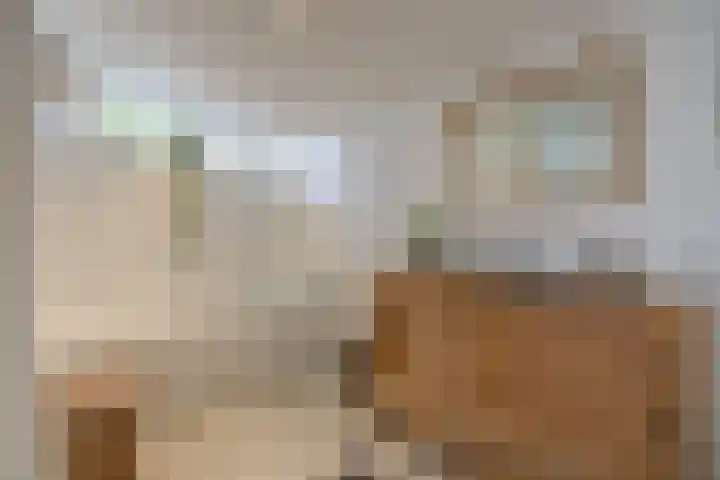 Hogestraat 3 Bosschenhoofd thumbnail 31