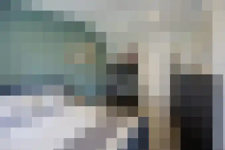 Hogestraat 3 Bosschenhoofd thumbnail 35