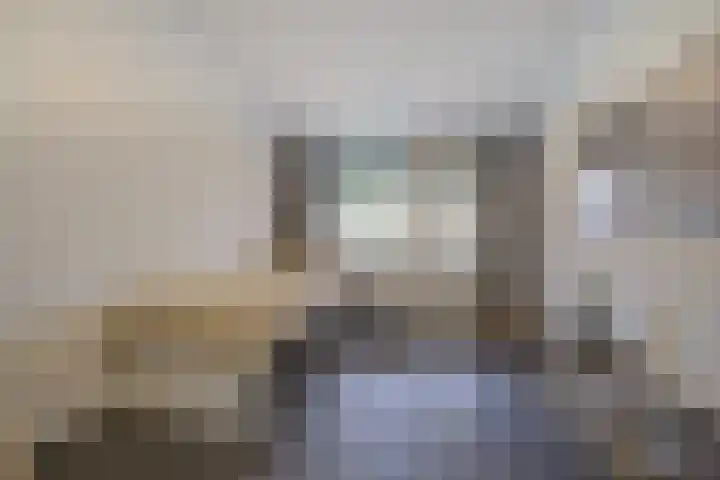 Hogestraat 3 Bosschenhoofd thumbnail 36