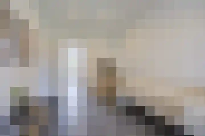 Hogestraat 3 Bosschenhoofd thumbnail 37
