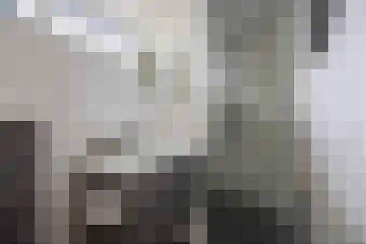 Hogestraat 3 Bosschenhoofd thumbnail 39