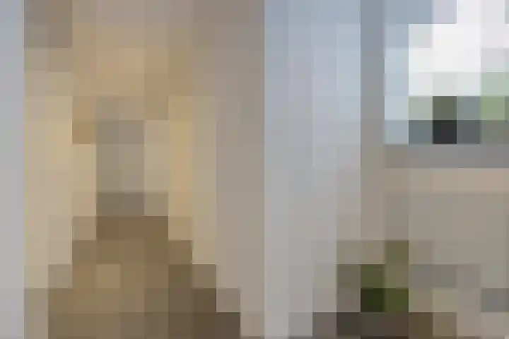 Hogestraat 3 Bosschenhoofd thumbnail 42
