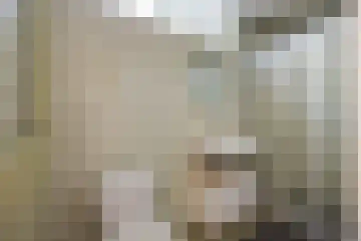 Hogestraat 3 Bosschenhoofd thumbnail 45