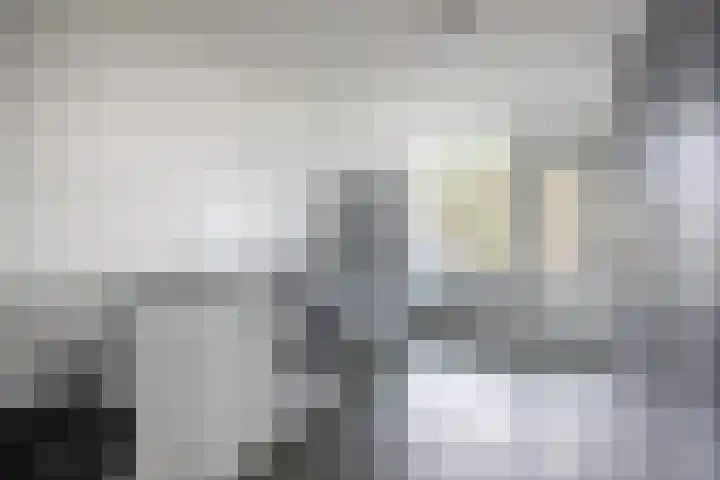 Hogestraat 3 Bosschenhoofd thumbnail 46